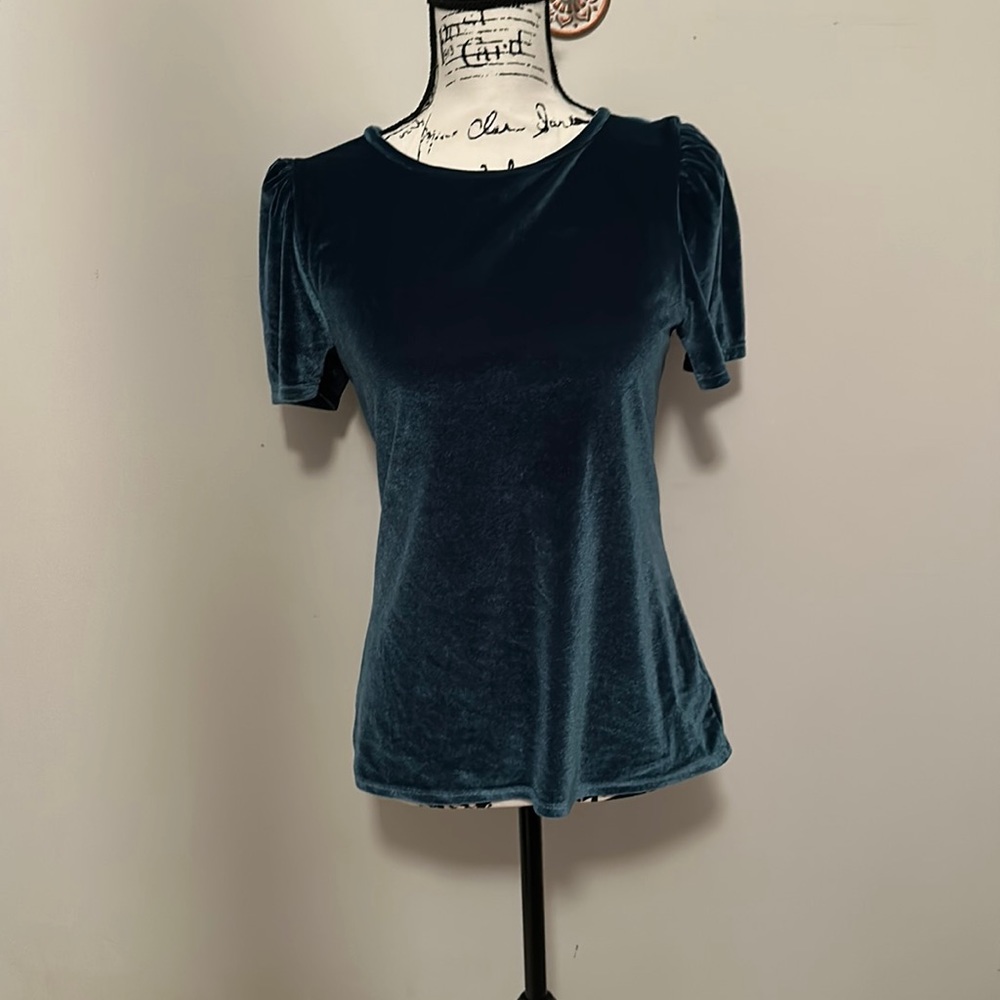 Womens Green Express Crushed velvet